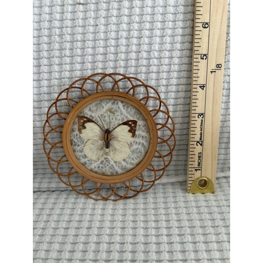 Vintage 1970s Pressed Butterfly Rattan Coaster Boho Taxidermy Art 5x5 Japan